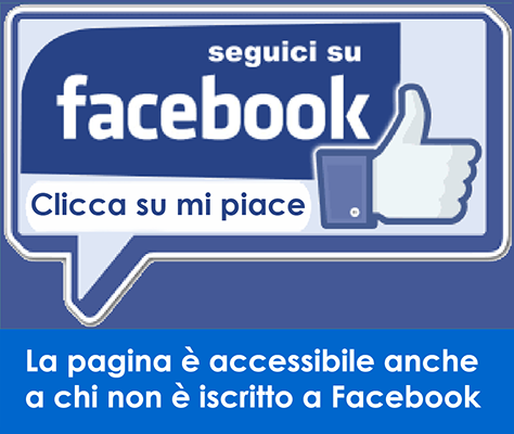 Seguici su Facebook